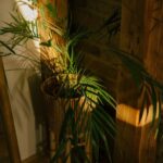 resized_18_api