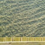resized_22_api